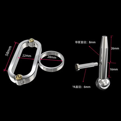 New Metal Scallop Chastity Cage Male PA Chastity Lock Anti-escape Cock Cage Adult Erotic Products 정조대 Penis SM Bondage Sissy 18+
